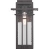 Progress Lighting Boxwood 1-Light Medium Wall Lantern in Antique Bronze with Clear Seeded Glass Shade - 2 of 4