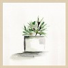 Amanti Art Potted Botanicals IV by Marcy Chapman Framed Wall Art Print - 3 of 4