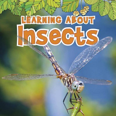 Learning about Insects - (Natural World) by  Catherine Veitch (Paperback)