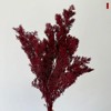 Alilang Decorative Dried Fine Leaf Stems for Home Decoration and Floral Arrangements, 17.7 Inches - 3 of 3