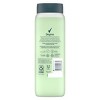 Degree All Day Fresh Body Wash - Energy - 20 fl oz - 2 of 4
