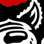 north carolina state wolfpack