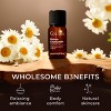 Gya Labs Roman Chamomile Essential Oil 100% Pure Natural - 3 of 4