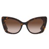 Dolce & Gabbana DG 4405 502/13 Womens Butterfly Sunglasses Havana 53mm - 2 of 3