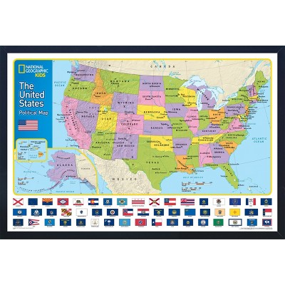 National Geographic Educational Art - USA Map with Flags