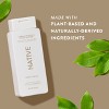Native Body Wash for Men & Women - Sandalwood & Shea Butter - Sulfate Free - 18 fl oz - 4 of 4
