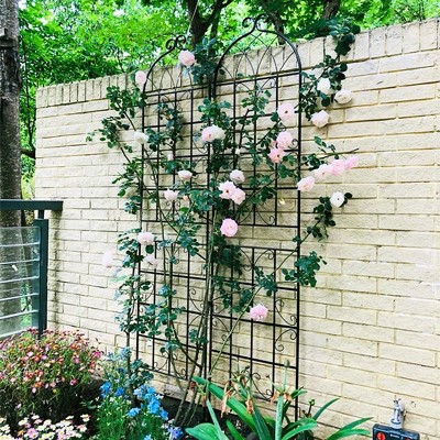 2 Pack Garden Trellis, Plant Support With Pre-drilled Holes, Metal Galvanized Pipe, 19.7"x86.7" Rustproof Plant Support