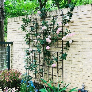 2 Pack Garden Trellis, Plant Support With Pre-drilled Holes, Metal Galvanized Pipe, 19.7"x86.7" Rustproof Plant Support - 1 of 4