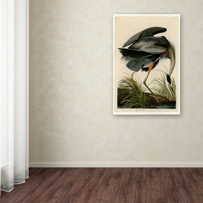 Great Blue Heron Canvas Art by John James Audubon