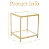HYLEORY 20 in. Square 2-Tier Tempered Glass End Table, Side Accent Table with Metal Frame for Living Room or Bedroom - 2 of 4