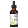 Oregon's Wild Harvest Organic Echinacea Goldenseal, Orange, 2 fl oz (59 ml) - 4 of 4