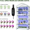Docred Indoor Greenhouse with Grow Lights 5 Tier Plant Stand Shelf, Kit with Zippered PVC Tent for Garden Seed Starting Tray, 36W Full Spectrum - 2 of 4