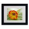 Trademark Fine Art - Kathie McCurdy 'Furnace Run Daffodil Large' Matted Framed - 2 of 3