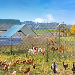 One Set Of Metal Pointed Top Chicken Cage 1Mm Galvanized Pipe With Reinforcement - 1 of 4