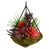 Northlight 9" Succulent Artificial Arrangement in Wire Terrarium - Green/Brown - 4 of 4