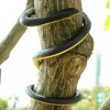 Fake Realistic Snake Lifelike Real Scary Rubber Toy Prank Party Joke For Garden - 4 of 4