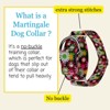 Country Brook Petz HossFit Jr Wide Martingale Dog Collar - Floral Collection - 4 of 4