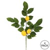 Vickerman 20" Artificial Green and Yellow Salal Leaf Lemon Sprays. Pack of 4. - 4 of 4