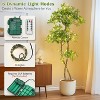 Artificial Black Olive Tree, Faux Olive Tree in Pot with 3 Tier and 50 Lights and Dimmer - 4 of 4