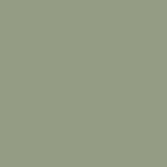 Olive Green/Gray