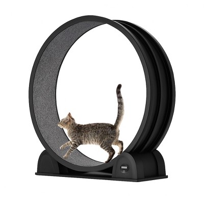45'' Cat Exercise Wheel for Indoor Cats, One Fast Cat Wheel Quiet Cats Treadmill with Pedometer, Pet Running Wheels for Weight Loss and Health