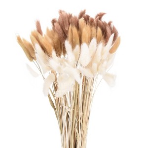 Unique Bargains Natural Dried Floral Bunny Tail Artificial Plants 17" 120 Pcs - 1 of 4