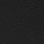 new england patriots