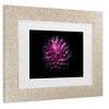 Trademark Fine Art - Brian Carson Backyard Flowers 57 Matted Framed Art - image 3 of 4