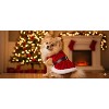 Parisian Pet 'Mrs. Claus Dress' Dog & Cat Shirt – Holiday Pet Dress, Perfect for Christmas – Red - 4 of 4