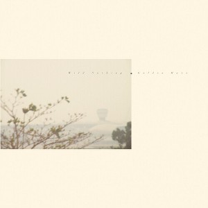 Wild Nothing - Golden Haze - Golden Haze (Colored Vinyl Gold) - 1 of 1