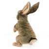 Folkmanis Puppets Jack Rabbit Hand Puppet - 3200 - 2 of 4
