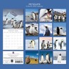 2026 Square Wall Calendar, Penguins, 16-Month Animals Theme with 180 Reminder Stickers (12x12 In) - 4 of 4