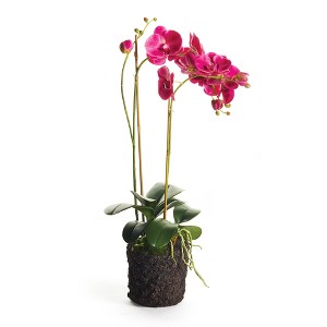 Plum & Post Phalaenopsis X 2 Drop-In 29" - 1 of 2