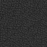 florida state seminoles