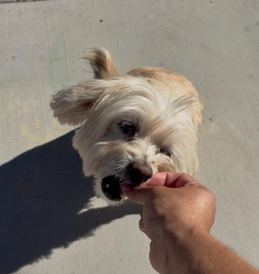 Guest review image 2 of 2, zoom in