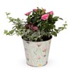 Mother's Day Live Plants Rose Garden Gift Bag - 3 of 4