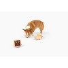 Midlee Gift Box Christmas Squares Sugar Cookie Plush Dog Toy-Reindeer, Gingerbread Man, Santa, Elf - 3 of 4