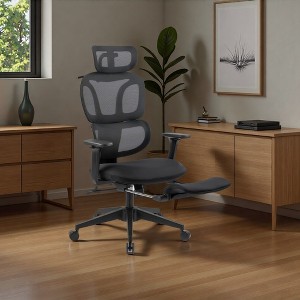 Dsvimoy Task and Office Chair Ergonomic Chair with Foot Rest and Dynamic Lumbar Support for Office, Black, 25.9"*21.65"*15" - 1 of 4