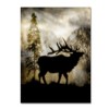 Trademark Fine Art -LightBoxJournal 'Mystic Elk' Canvas Art - image 2 of 3