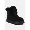 Bunting Faux Fur Collar Flatform Boots - 2 of 4