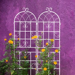 COMHOMA 2/4 Pack Metal Garden Trellis 71" x 19.7" Rustproof Trellis for Climbing Plants Outdoor Flower Support - 1 of 4