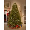 9' Prelit LED Downswept Douglas Fir Artificial Christmas Tree Multicolor Lights - National Tree Company - 2 of 4