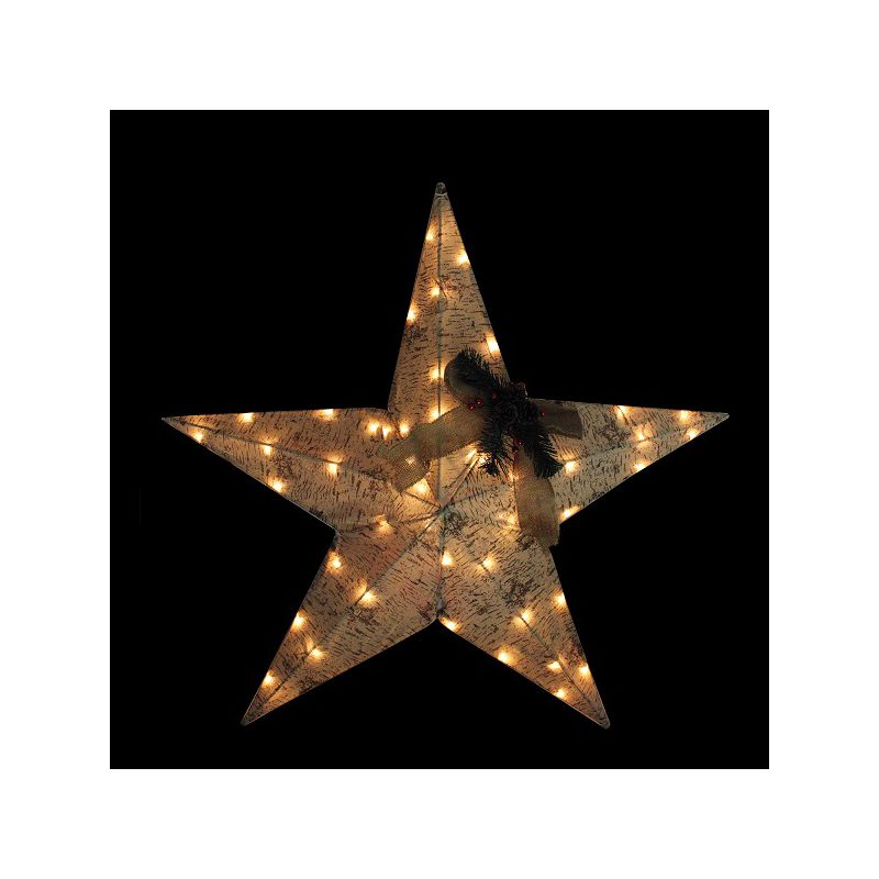 Northlight 36" Lighted Country Rustic Birch Star Christmas Wall Decor - Clear Lights, 2 of 5