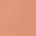 Peach Neon