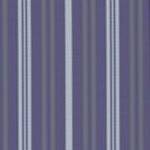 dark purple stripe