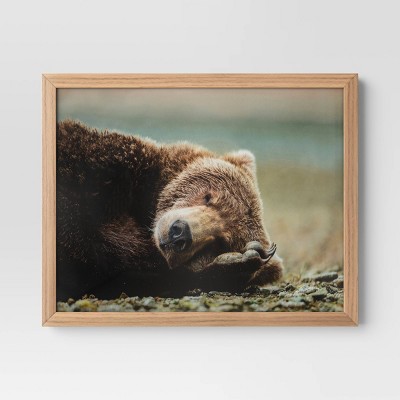 20" x 16" Bear Photography Framed Art Brown - Threshold™: Frame, Animal Wall