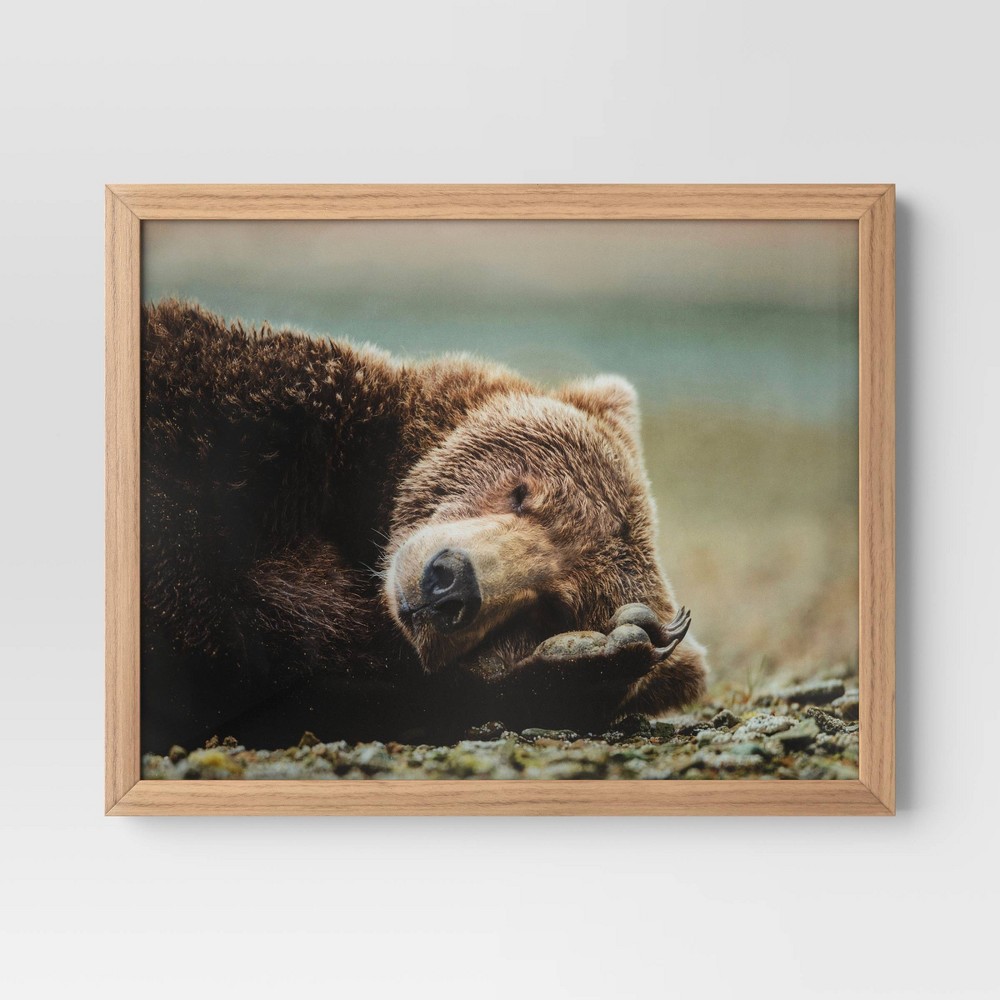 Photos - Wallpaper 20" x 16" Bear Photography Framed Art Brown - Threshold™