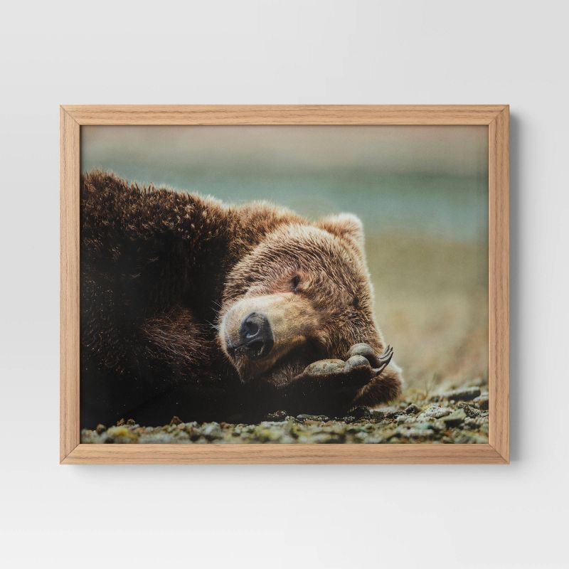 20&#34; x 16&#34; Bear Photography Framed Art Brown - Threshold&#8482;, 1 of 5