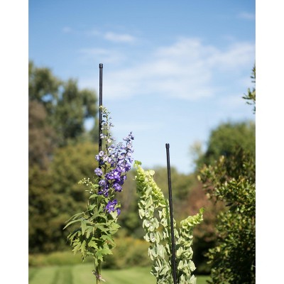 Tall Titan Garden Stakes 6’, Set of 6 - Black - Gardener's Supply Company