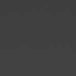 minnesota golden gophers